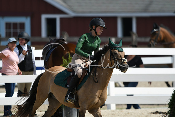 HSM_2014