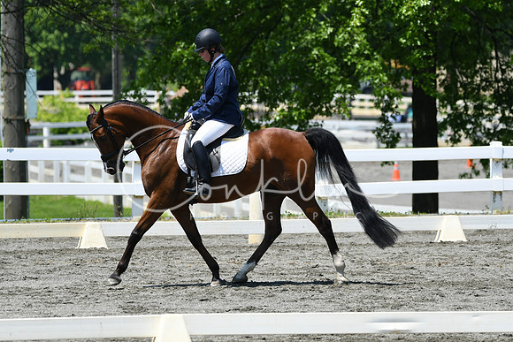 HSM_1627