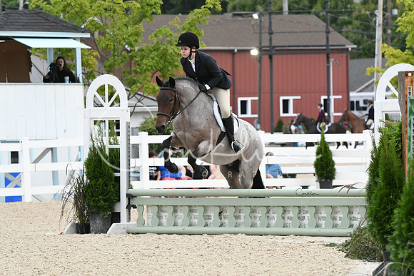HSM_5019-1