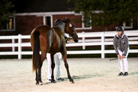 HSM_5891