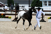 HSM_6864-1
