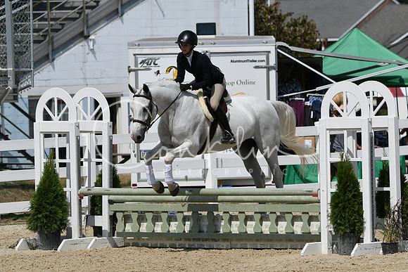 HSM_9201