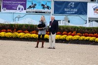 301 USDF Current Year Foal Final-photos
