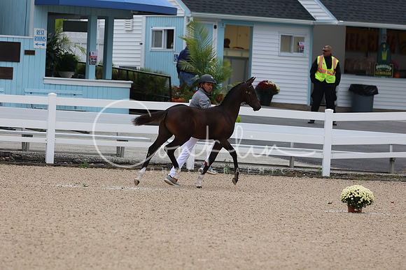 1H5A8714