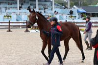 124 - Fiorella CF
