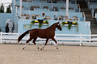 RJC37685