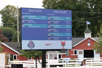 302 USDF Filly Final-photos