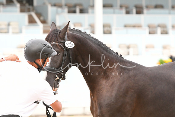 HSM_0087