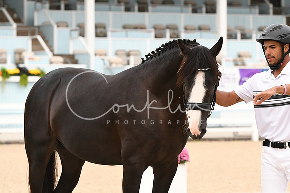 HSM_0089