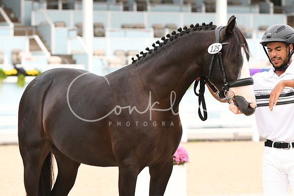 HSM_0090