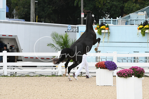 HSM_0099