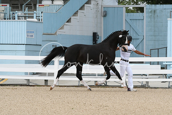 HSM_0105