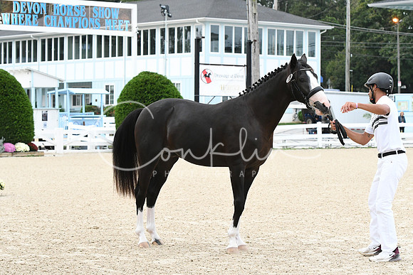 HSM_0121