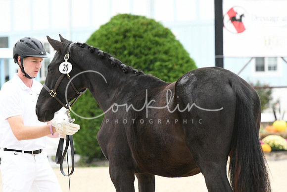 HSM_0433