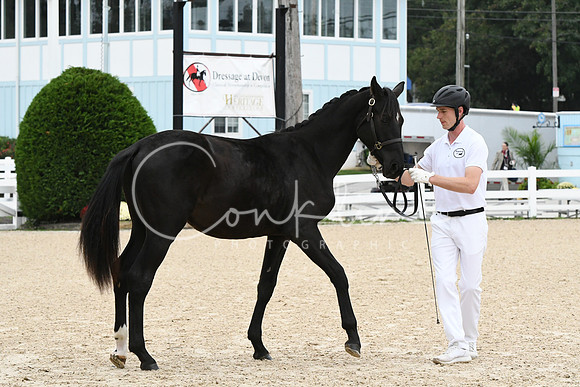 HSM_0436