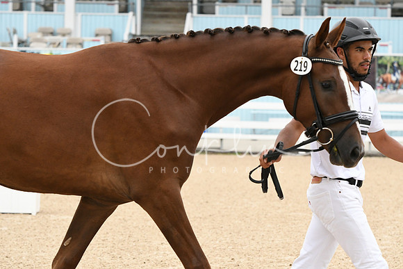 HSM_0256