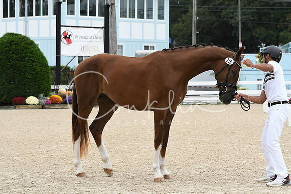HSM_0251