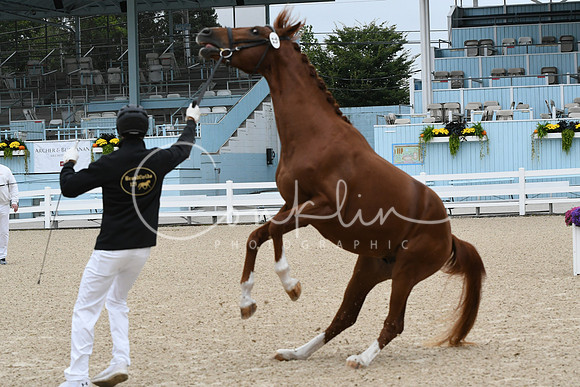 HSM_0325