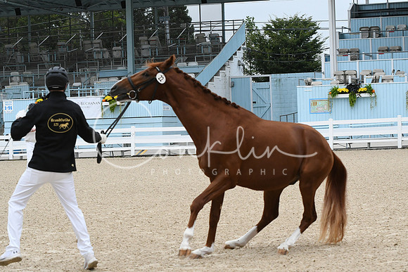 HSM_0327