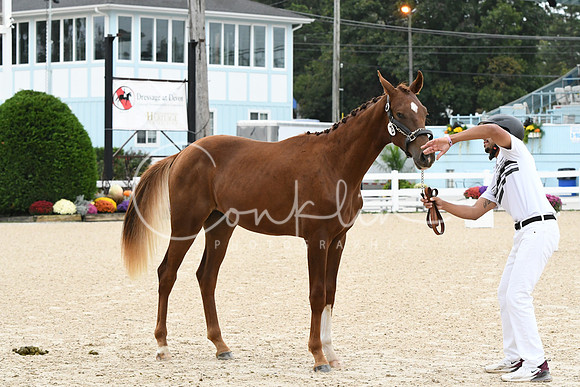 HSM_0290