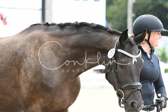 HSM_0219
