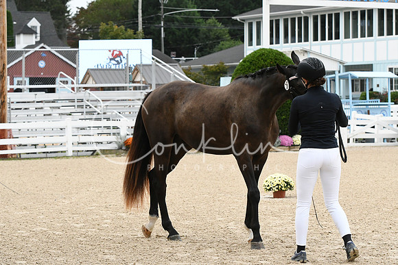 HSM_0203