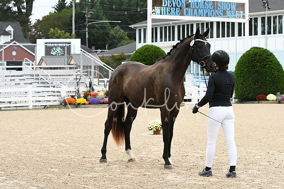HSM_0204