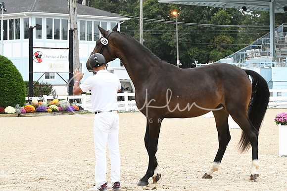 HSM_0404