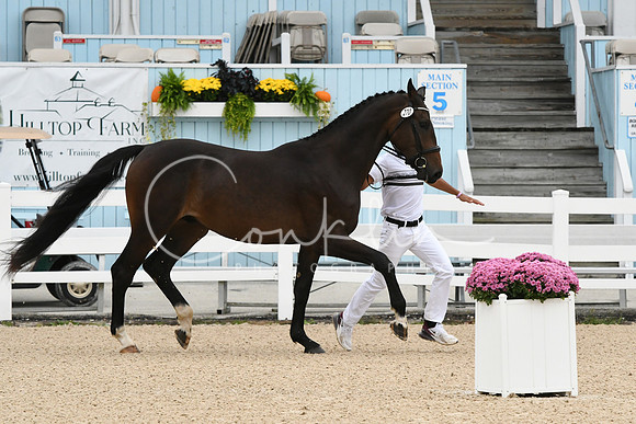 HSM_0411