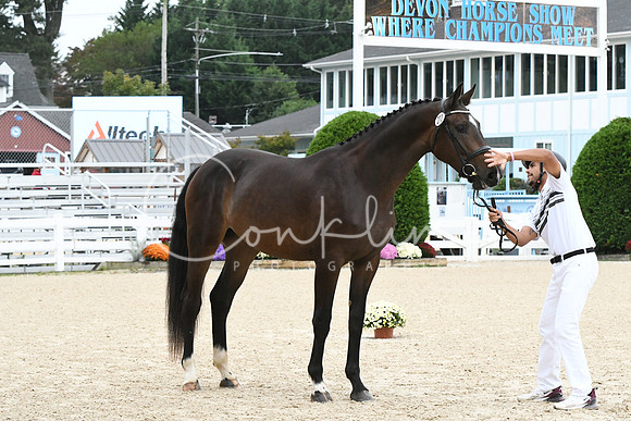 HSM_0420