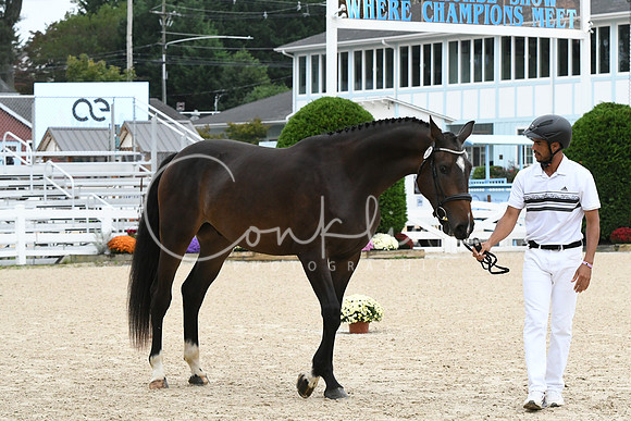 HSM_0422