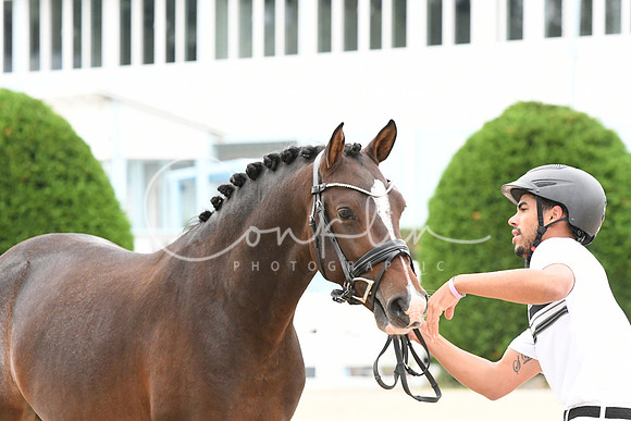 HSM_0158