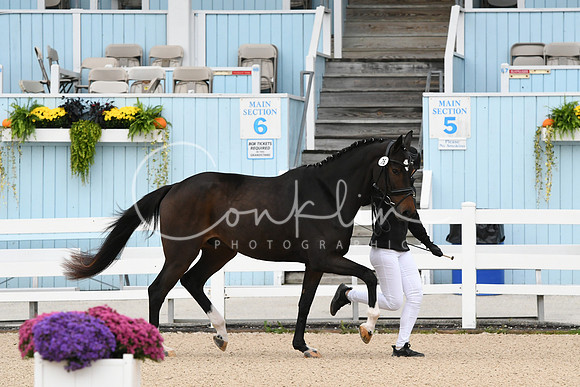 HSM_0181