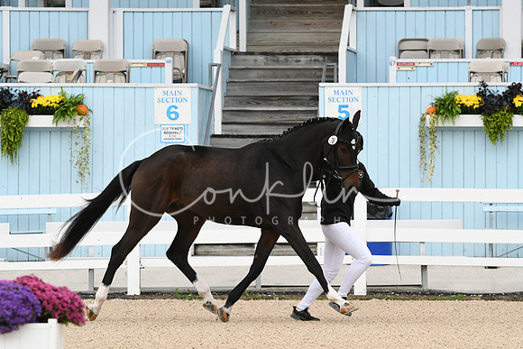HSM_0182