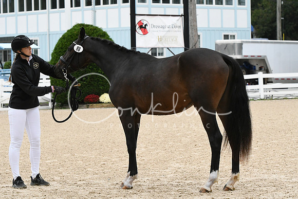HSM_0368