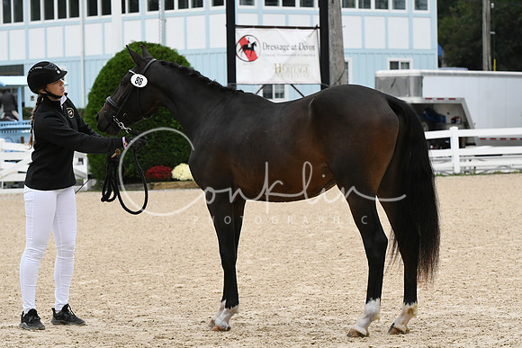 HSM_0369