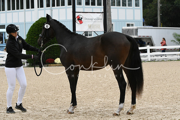 HSM_0370
