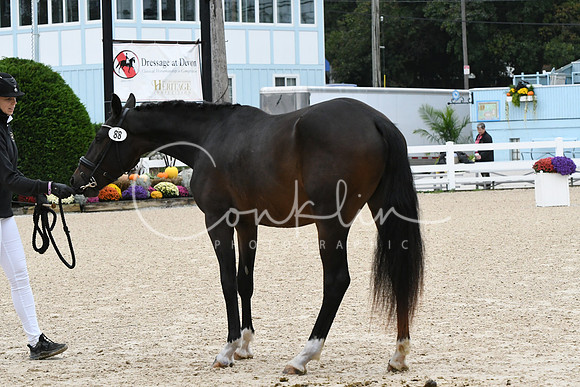 HSM_0371