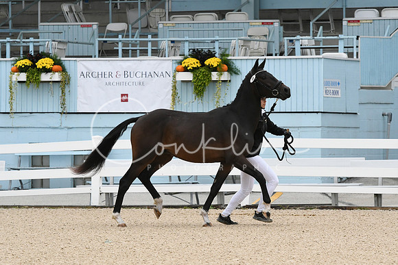 HSM_0380