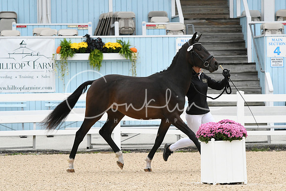 HSM_0384