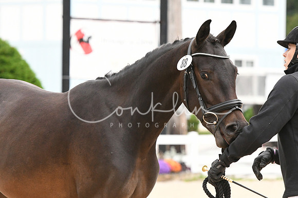 HSM_0391