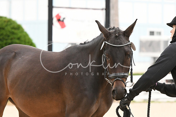 HSM_0392