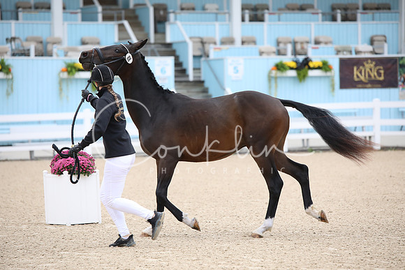 BW187913