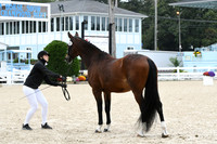 HSM_0677