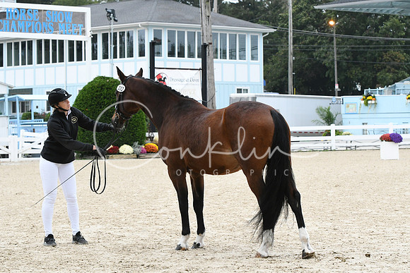 HSM_0678
