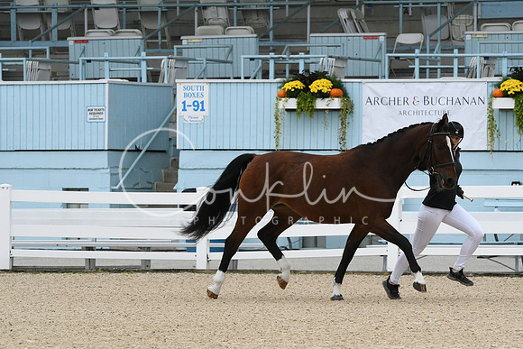 HSM_0684