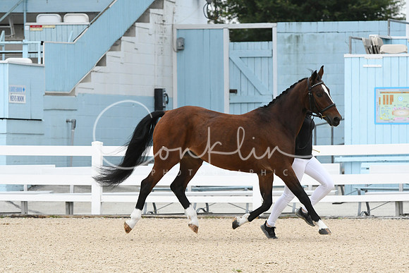 HSM_0687