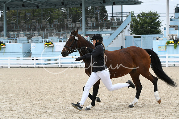 HSM_0694