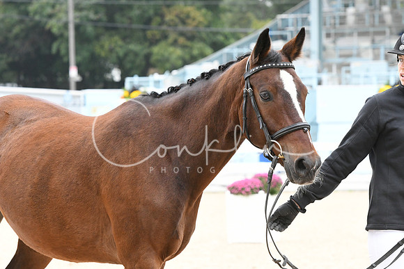 HSM_0701