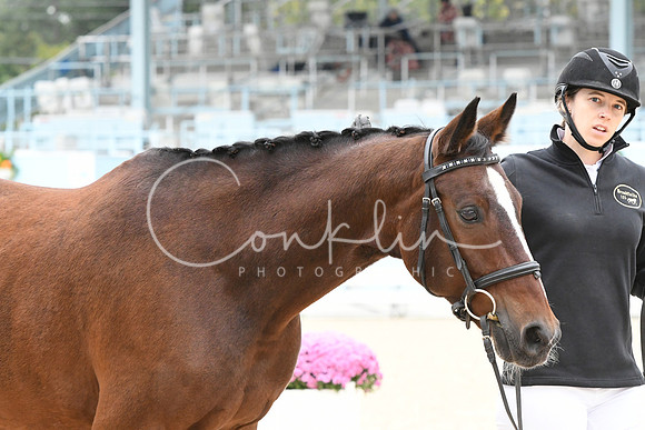 HSM_0702